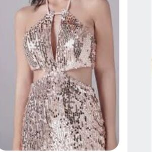 Nwt sequined dress